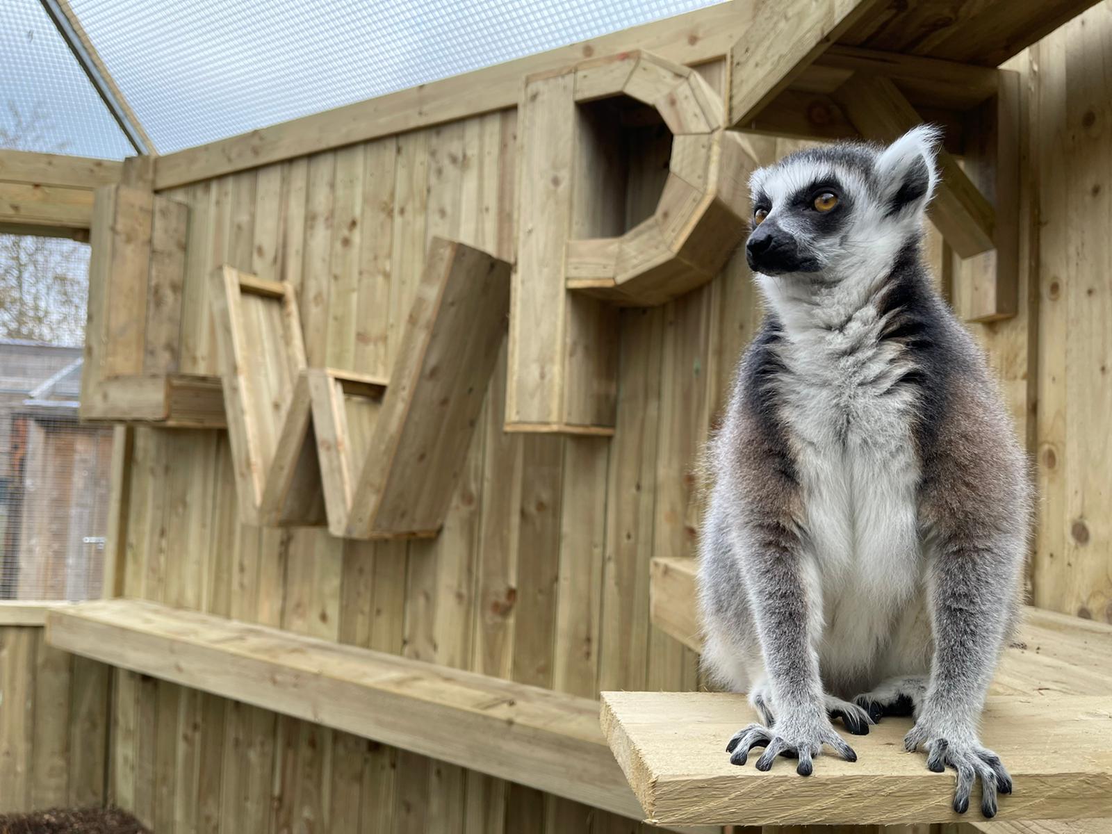 Lincolnshire's premier attraction, animal attraction, educational visit, school visits, groups, schools, school trip Lincolnshire, education, outside learning