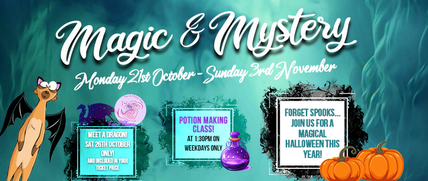 Join us this Halloween for Magic & Mystery at Lincolnshire Wildlife Park