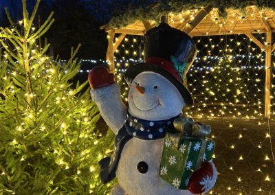 Christmas Days Out, Cheap Days Out December, Lincolnshire, Christmas Activities, Santa's Grotto Lincolnshire, Best Santa's Grottos UK, Winter Wonderland, Christmas on a Budget. Reindeer, Light Switch on